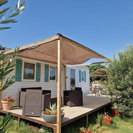 Mazet D El Gato Hotel Arles Ngoại thất bức ảnh