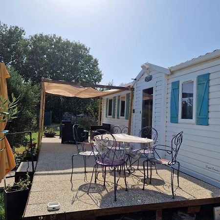 Mazet D El Gato Hotel Arles Ngoại thất bức ảnh