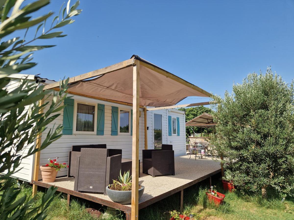 Mazet D El Gato Hotel Arles Ngoại thất bức ảnh